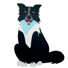 Border Collie Dog