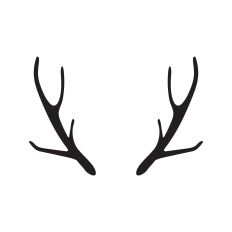 Antlers