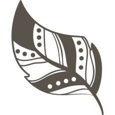 boho feather