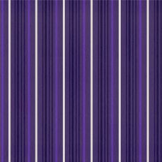 Boo To You - Spooky Stripe