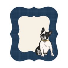 Boston Terrior Frame