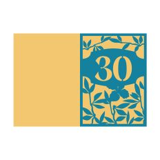30th Anniversary Card / 30th Birthday Card Design