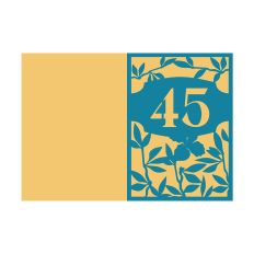 45th Anniversary Card / 45th Birthday Card Design