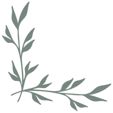 Botanical Corner Border