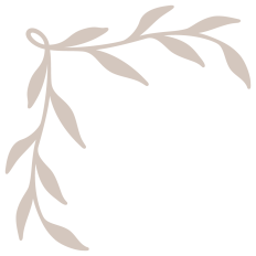 Elegant Corner Border