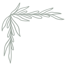 Corner Line Art Frame