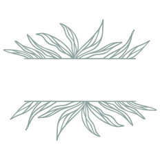 Abstract Split Border