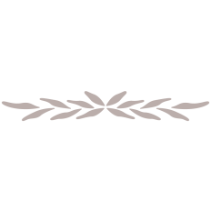 Border Element