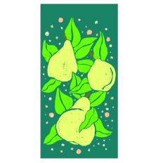 Pears Botanical Print Woodblock Style Illustration
