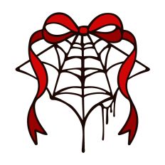 Coquette Gothic Spiderweb 