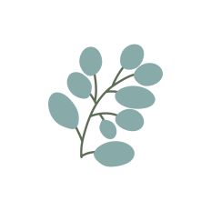 Spring leaf branch