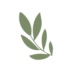 Branch with leaves
