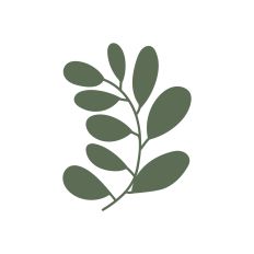 Branch with leaves