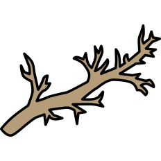 Branch