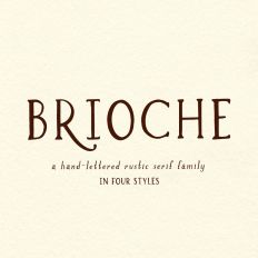 Brioche Rustic Serif Font Family