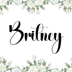 Britney Font
