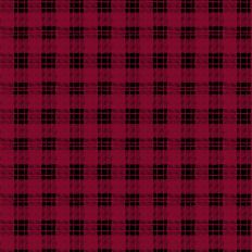 Buffalo Plaid Pattern 2