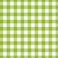 Green and White Buffalo Plaid Pattern -  St Patrick's Day Pattern