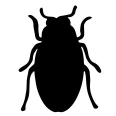 Halloween Beetle Bug
