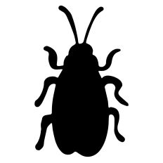 Halloween Beetle Bug