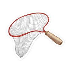 Insect Net