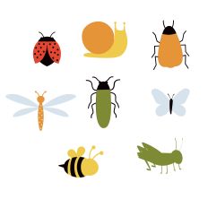 Bug Buddies