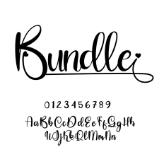Bundle Script Font
