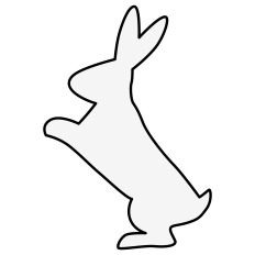 Bunny Shape