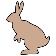 Bunny Shape