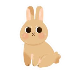 Bunny