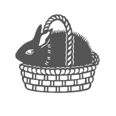 Bunny in basket