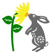 Bunny sniffing flower