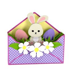 Bunny Envelope Box Card