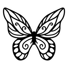 Butterfly Outline