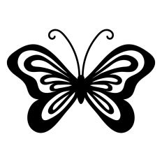 Butterfly Summer design