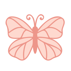 Butterfly Illustration  