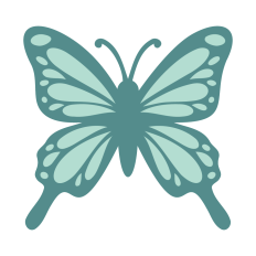 Butterfly Shape