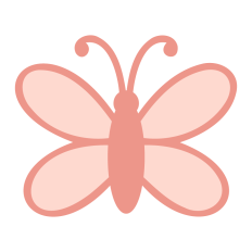 Butterfly Illustration  
