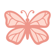 Butterfly Illustration  