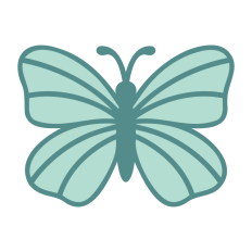 Butterfly Shape