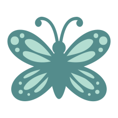 Butterfly Illustration  