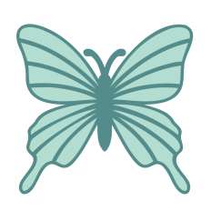 Butterfly Shape