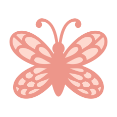 Butterfly Shape