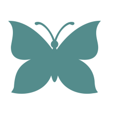 Butterfly Silhouette 