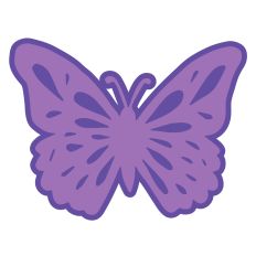 2 Layer Butterfly