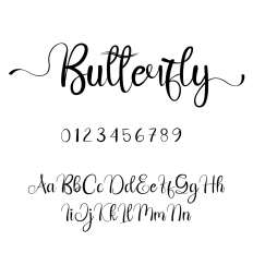 Butterfly