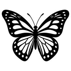 Butterfly Silhouette