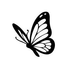 Elegant Butterfly