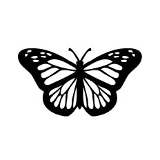 Elegant Butterfly