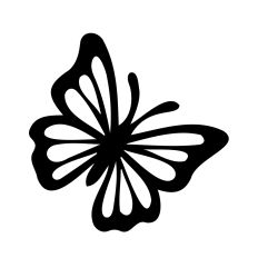 Elegant Butterfly